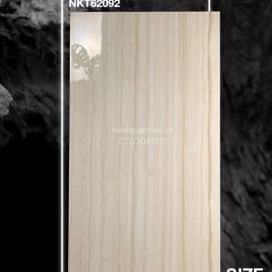 Gạch Travertine 62092